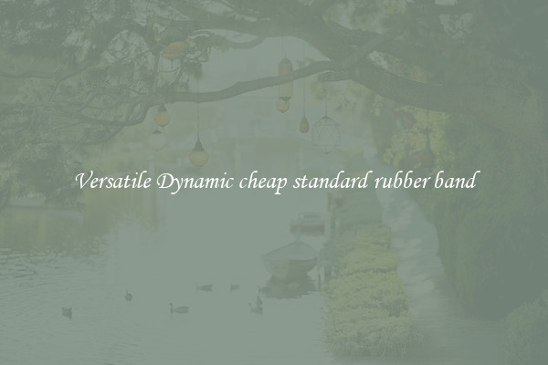 Versatile Dynamic cheap standard rubber band