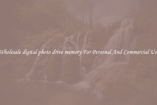 Wholesale digital photo drive memory For Personal And Commercial Use