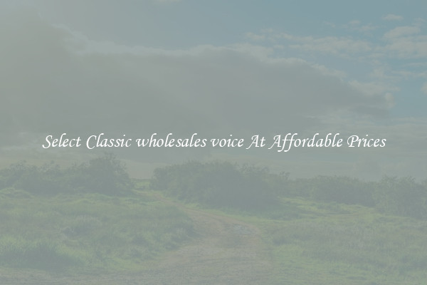 Select Classic wholesales voice At Affordable Prices