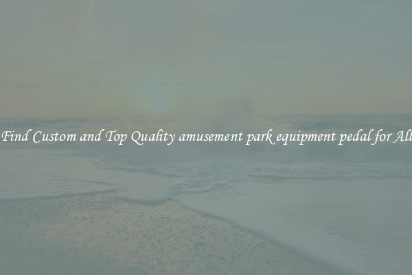 Find Custom and Top Quality amusement park equipment pedal for All
