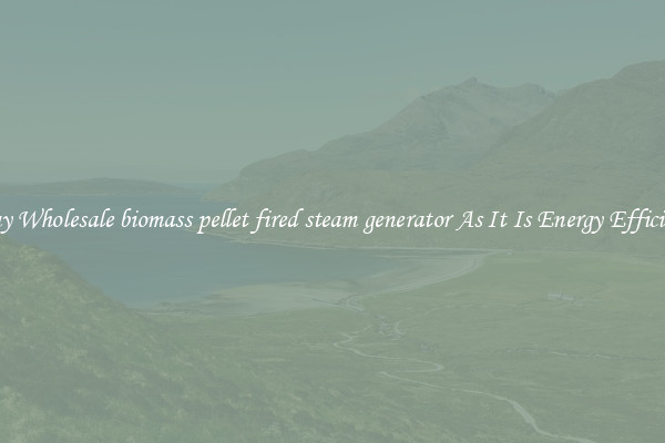 Buy Wholesale biomass pellet fired steam generator As It Is Energy Efficient