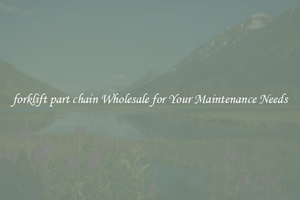 forklift part chain Wholesale for Your Maintenance Needs