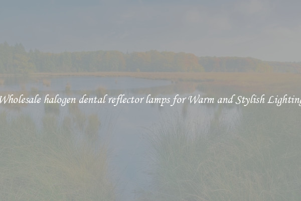 Wholesale halogen dental reflector lamps for Warm and Stylish Lighting