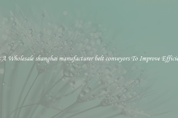 Get A Wholesale shanghai manufacturer belt conveyors To Improve Efficiency
