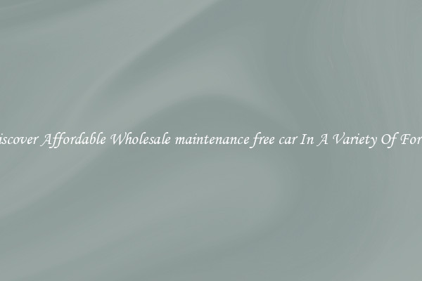 Discover Affordable Wholesale maintenance free car In A Variety Of Forms