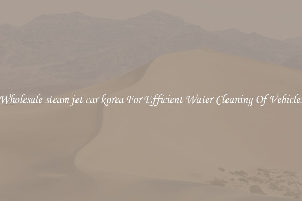 Wholesale steam jet car korea For Efficient Water Cleaning Of Vehicles