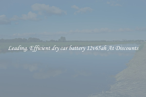 Leading, Efficient dry car battery 12v65ah At Discounts