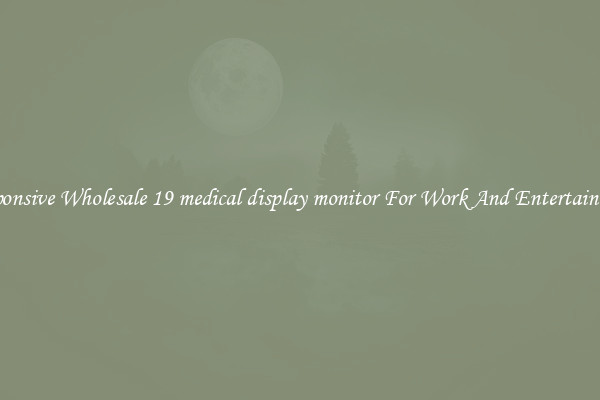 Responsive Wholesale 19 medical display monitor For Work And Entertainment