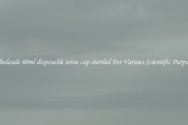 Wholesale 60ml disposable urine cup steriled For Various Scientific Purposes