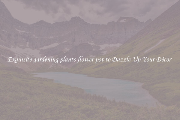 Exquisite gardening plants flower pot to Dazzle Up Your Décor 