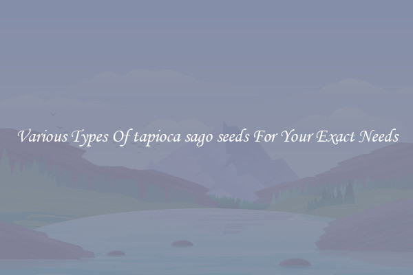 Various Types Of tapioca sago seeds For Your Exact Needs